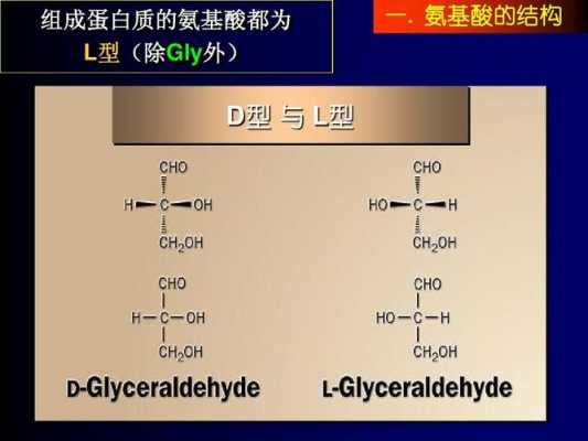 什么是l型氨基酸什么是d型（什么是l型氨基酸什么是d型氨基酸）