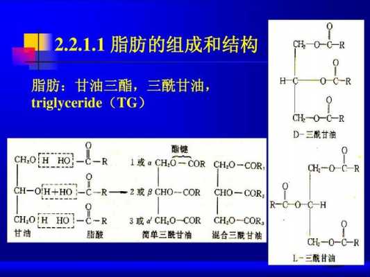 脂酰基结构式是什么（脂酰基的载体是什么）