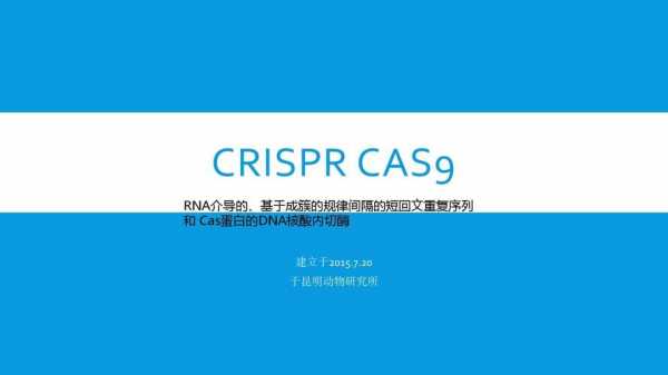 cas04是什么（cas9是啥）