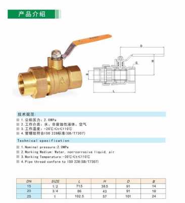 阀门p20是什么意思（阀门pn20）