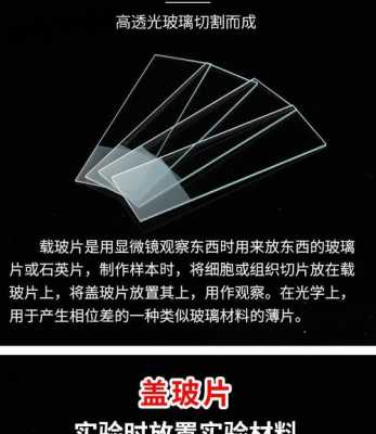 什么叫载玻片和盖玻片（载玻片与盖玻片的区别）