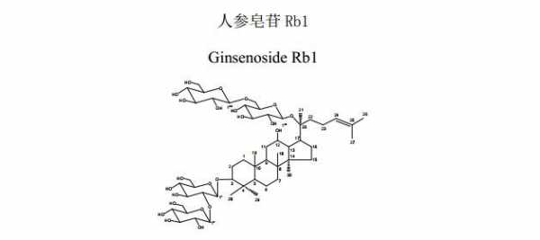 人参皂苷Rb1溶于什么溶剂（人参皂苷rb1的理化性质）