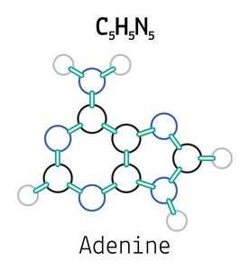c5h5-是什么（c5h5n是什么化学物质）