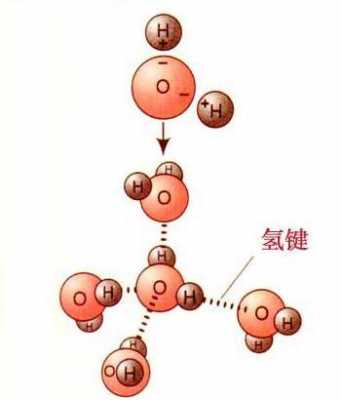 什么物质存在分子间氢键（什么是宇宙间的物质存在形式）