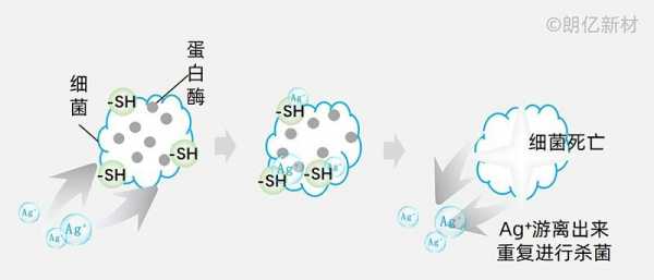 蛋白酶有什么菌（蛋白酶对细菌的作用）