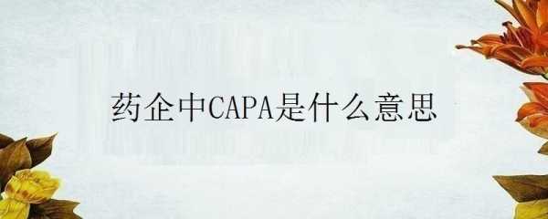 化工中cac是什么（capa是什么意思化工）