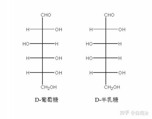 什么叫做l半乳糖（半乳糖由什么构成）