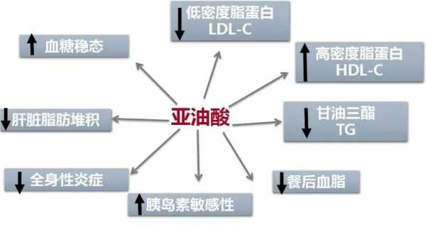 亚油酸的用途是什么（亚油酸是干什么的）