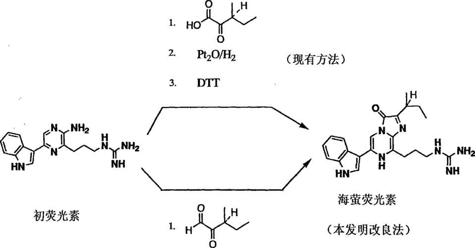 荧光素结构是什么（荧光素的性质）