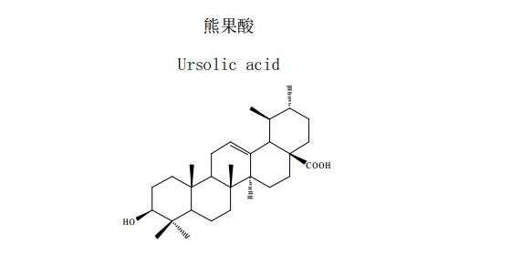 熊果酸的结构类型是什么（熊果酸的结构类型属于）