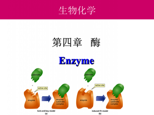 污泥的辅酶F420有什么规律吗（辅酶电化学污水处理设备）