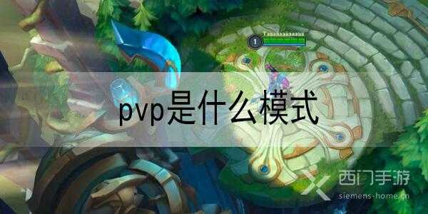 pvp-va什么意思（pvp什么意思啊）