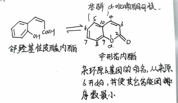 苯骈与苯并有什么区别（苯骈与苯并有什么区别呢）