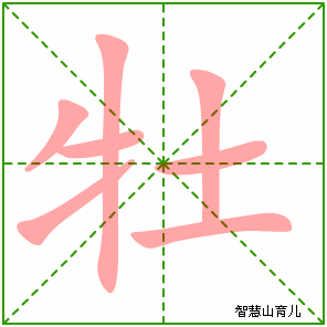 牡什么结构（牡的部首和笔画）