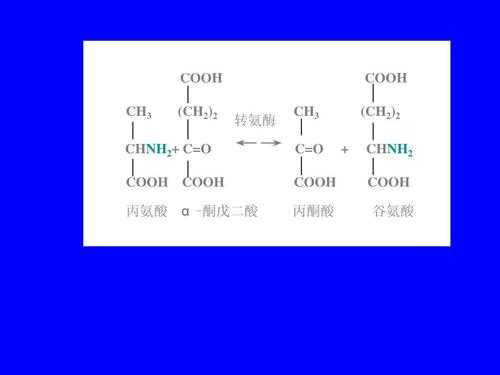 cooh是什么基羧基（ch2cooh是羧基吗）