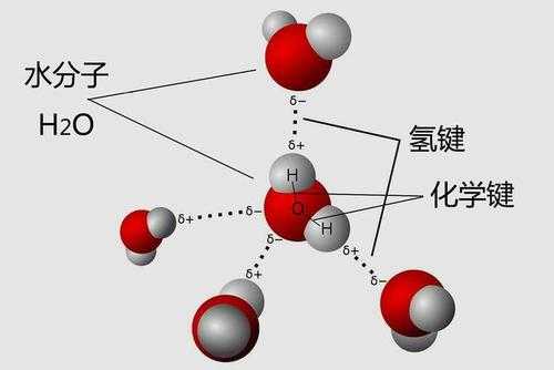 为什么hcooh分子有氢键（hcooh中有氢键吗）