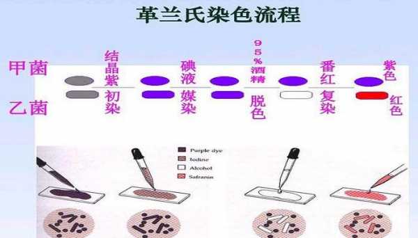 染色为什么要避光保存（染色为什么要加热）