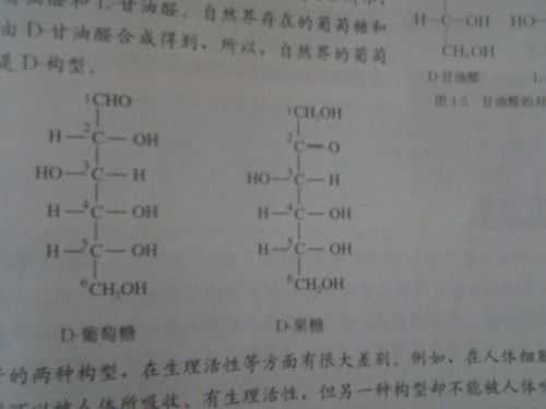 包含糖分子结构是什么的词条