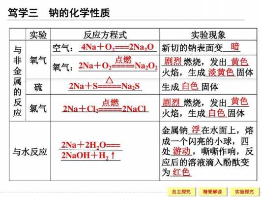 乃的化学性质是什么意思（纳的化学性质）