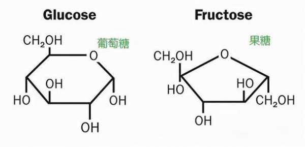 葡萄糖加果糖组成什么（葡萄糖加果糖等于什么）