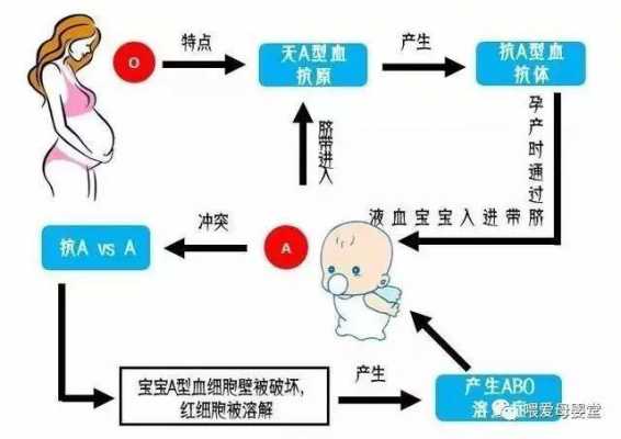 什么是热放散阀（热放散法主要用于哪种血型系统引起的新生儿溶血病）