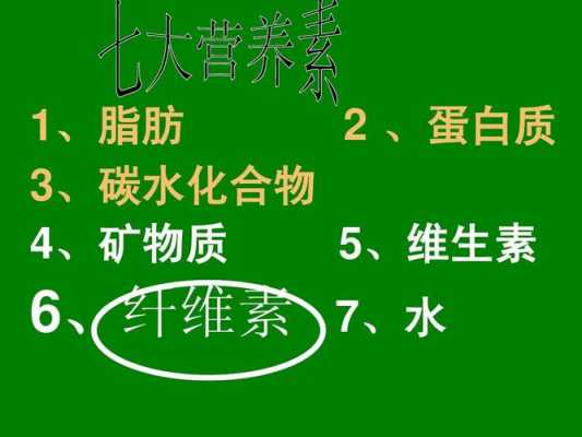 纤维素属于什么类目（纤维素属于维生素吗?）