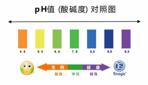 ph2-3属于什么酸（ph等于2是什么酸）