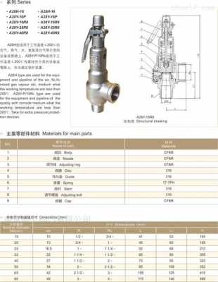 什么叫全量型安全阀（什么叫全量型安全阀门）