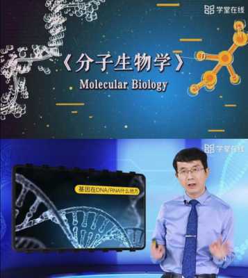 分子生物学MIX是什么的简单介绍