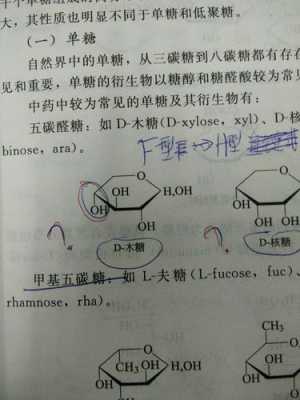 木糖的结构式是什么（木糖的成分）