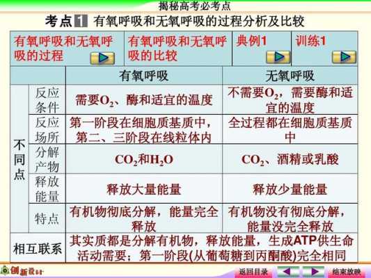 微生物无氧呼吸会产生什么（微生物有氧呼吸和无氧呼吸的区别）