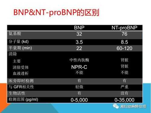 bnpnt-probnp是什么意思（bnp是什么意思啊）