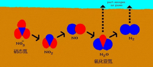 硝化为什么间位更容易（硝化为什么间位更容易脱硝）