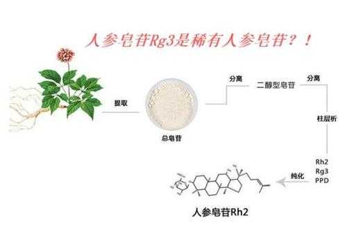 人参皂苷rg3什么产品（人参皂苷rg3是骗局吗知乎）