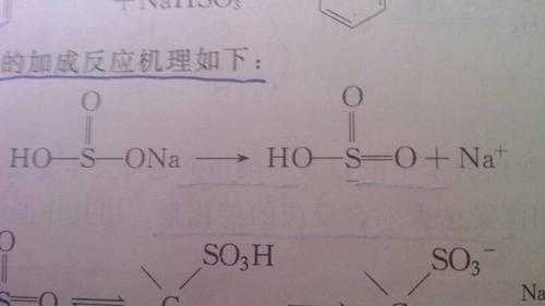 硫酸氢钠是什么键（硫酸氢钠是什么键组成的）