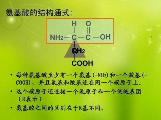 氨基是什么App（氨基是什么取代基）