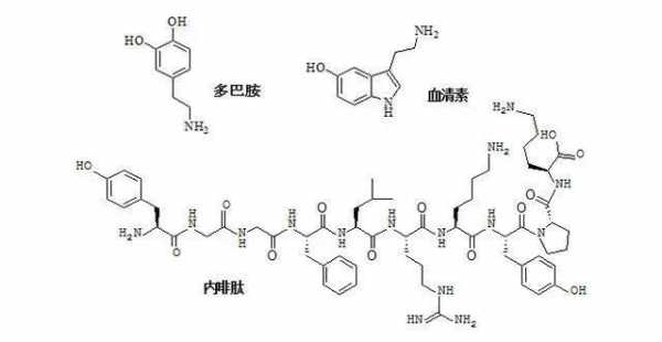 6羟基多巴胺是什么（6羟基多巴胺作用）