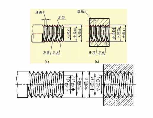 外螺纹中的p指的是什么（外螺纹缩写）