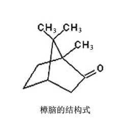 樟脑的结构式是什么（樟脑化学成分及药理）