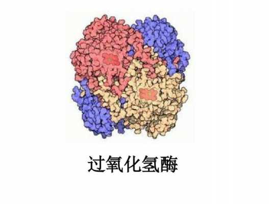 氢氧化物为什么酸性和碱性（氢氧化铷碱性）