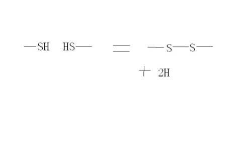 什么二硫键（二硫键是由什么形成的）