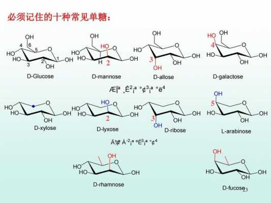 糖化学中的DL是什么（糖的d型和l型是如何决定的）