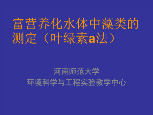 什么影响水体中叶绿素a含量（水体叶绿素含量高说明什么）