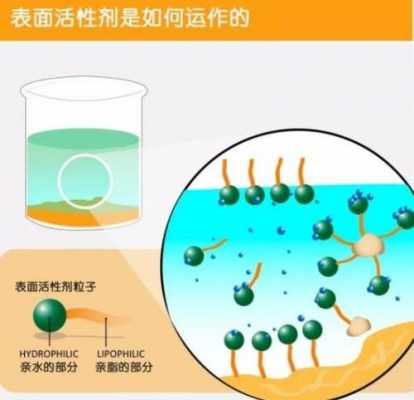 阳离子系界面活性剂是什么（阳离子型表面活性剂作用原理及作用）