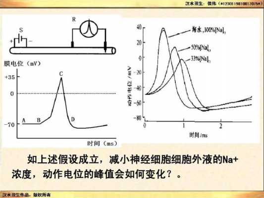 钠汞齐还原什么结构（钠汞的作用是逆电化学梯度na+运出细胞,并将k+运入细胞）