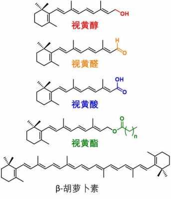 视黄醛有什么用（视黄醛与视黄醇的区别）