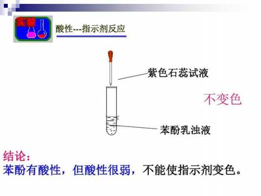 指示剂的反应原理是什么（指示剂作用原理）