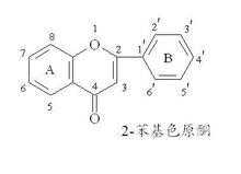 二苯基色原酮是什么（2苯基色原酮）