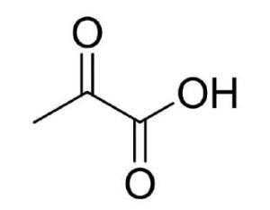 丙酮酸结构式是什么（丙酮酸的化学）