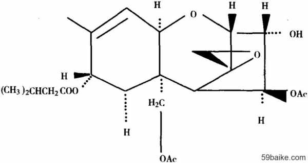 t2毒素有什么危险（t2毒素）